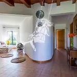 بيت للعطل Chale Davim Com Piscina -tranquilidade E Conforto Lourical